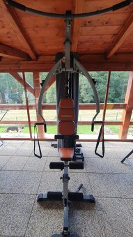 Posilovací věž Insportline - 2