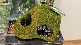 Terárium + vybavení - 2