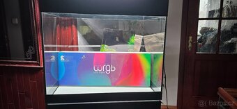 Akvarium se skrinkou  Oase - 2