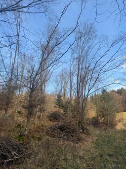 Prodej pozemků k.ú. Huslenky (1) - 2