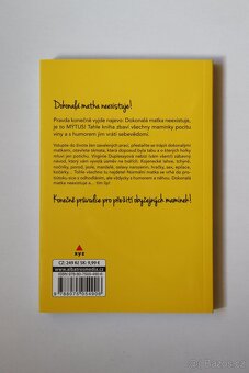 Dokonalá matka je mýtus - Virginie Duplessyová - 2