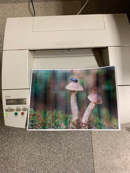 Barevná laserová tiskárna Lexmark C510 - 2