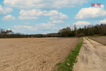 Prodej pole, 5839 m², Předenice - 2