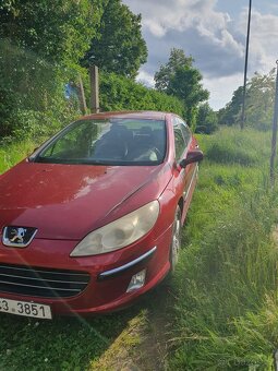 Peugeot 407 - 2