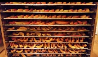 Sušená jablka-křížaly - 2