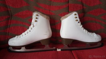 Brusle Head, vel. 36 - 2