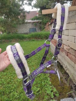 Fialové ohlávky s beránkem full a vodítko - 2