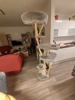 Škrabadlo - kočičí strom - 2