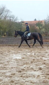 Klisna ČT, 13 let - 2