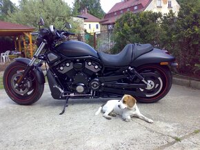 Harley-Davidson Night Rod Special - 2