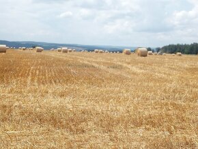 Sláma kulaté balíky - 2