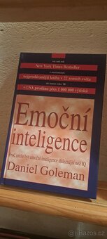 Emoční inteligence - 2