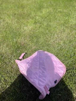 Vybavení k hobby horse - 2