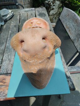Anatomický model kravské tlamy - 2