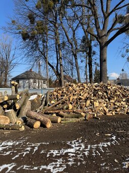 Prodej štípaného dřeva nebo kulatina - 2