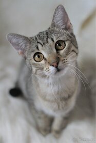 Mourinka Minky - 2