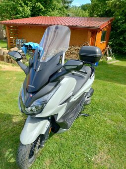HONDA FORZA 125 - 2