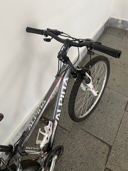 Prodám kvalitní kolo Alpina Eco - 2