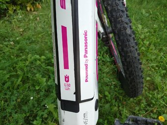 Elektrokolo Crussis e-Fionna 7.6 - 2