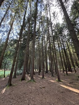 Prodej, pozemek, 3 476 m, náměstí Dr. Tošovského 61, Proseč, - 2