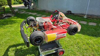 Birel EasyKart 50ccm školní. Motokára - 2
