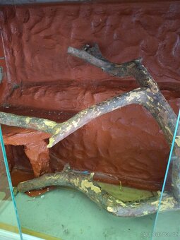 Prodám dvě terárium - 2