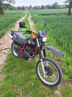 Honda xl 600 pd03 Enduro po opravie nie xr600 xl 250 klx dr - 2