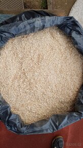 Piliny čisté cca cca 12 kg - 2