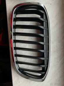 Ledvinky BMW 2 - 2