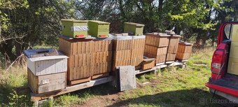 Včelí oddělky 39x24 - 2