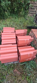 Terran Synus Evo korall - 2