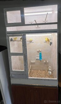 🐦Prodám chovné klece s kanáry-kompletní chovná sestava - 2