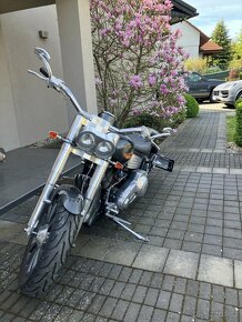 Harley-Davidson FLSTC - 2