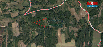 Prodej lesa, 7736 m², Jetětice - 2