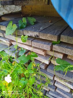 Stavební dřevo, řezivo - 2