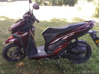 Skutr Apollon Wildcat 125 cm, rok 2024 - 2