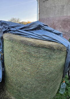 Seno velký balík - 2