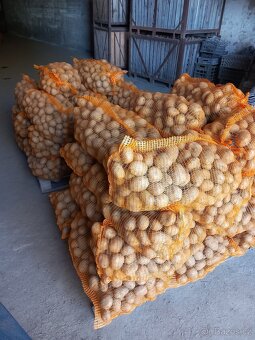 Brambory z vysočiny - 2