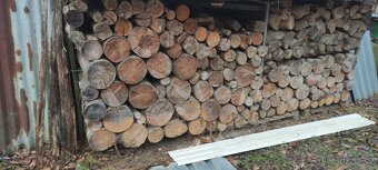 suché dřevo 5let - 2