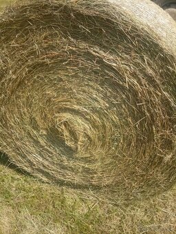 Prodám Balíky Sena - 2