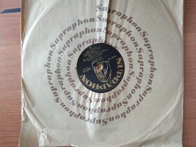 Gramofonové desky 24x - 2