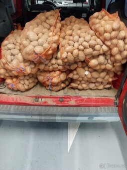 Rozvoz brambor, cibule, doprava zdarma - 2