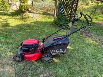 vega OHV170 5.5 - 2