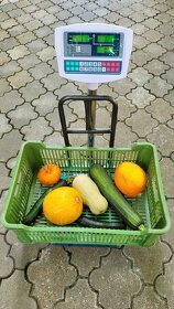 Digitální můstková váha TCS do 150kg 30x40cm 20g s opěrkou - 2