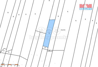 Prodej lesa, 4993 m², Jetětice - 2