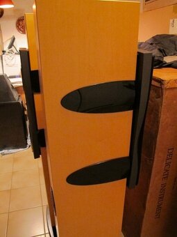 Dynaudio Confidence C2 High End Standlautsprecher v Ahornu - 2