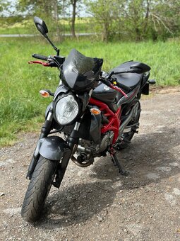 Suzuki Gladius SFV650 - 2
