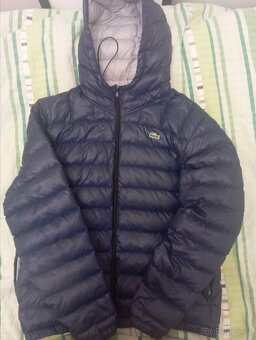 Zimní bunda velmy kvalitni Lacoste vel.56. - 2