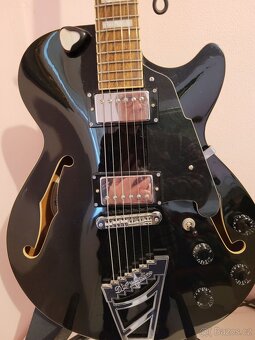 Kytara DAngelico Premier USA - 2