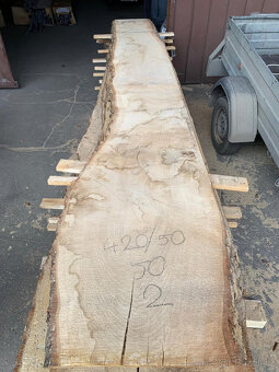 Dubové fošny 4,2m/50mm - 2